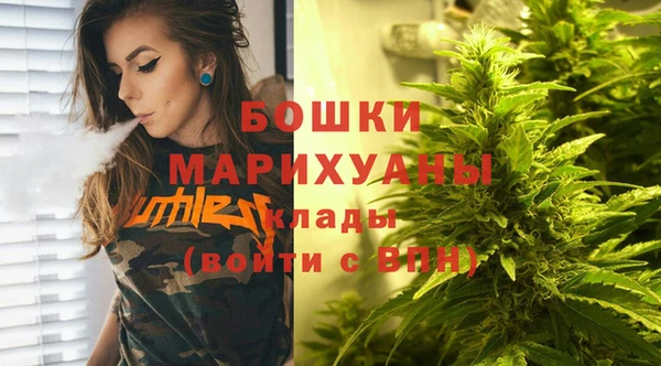 первитин Богородицк