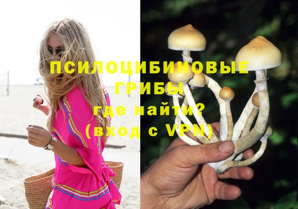 бошки Бородино