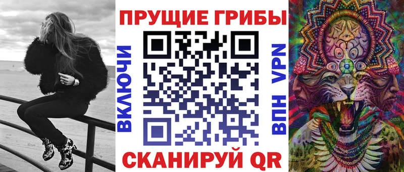 Галлюциногенные грибы Cubensis  где найти   omg вход  Балашов 